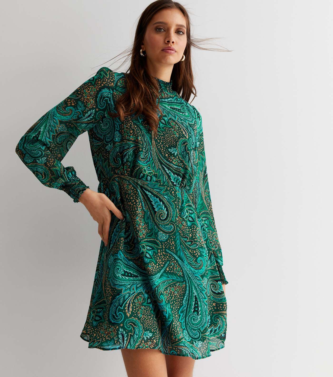 Green Paisley Chiffon High Neck Long Sleeve Mini Dress