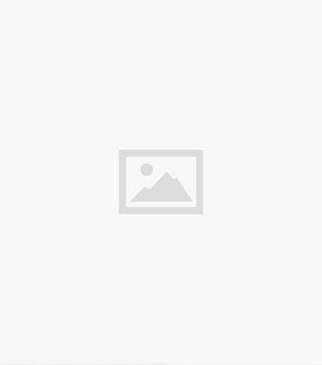 Blue Vanilla Rust Leopard Print Ruched Short Puff Sleeve Midi Dress