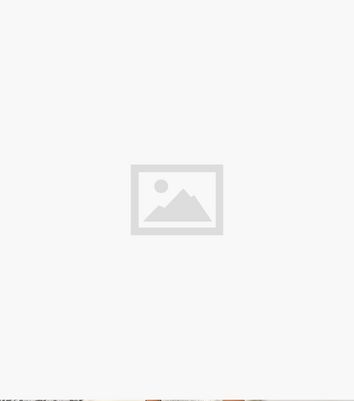 AX Paris Green Collared Shirred Waist Mini Shirt Dress