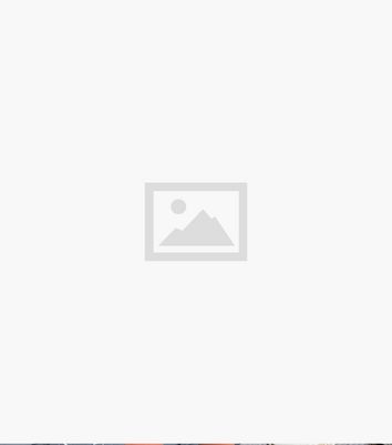 AX Paris Olive Animal Print Long Sleeve Mini Skater Dress
