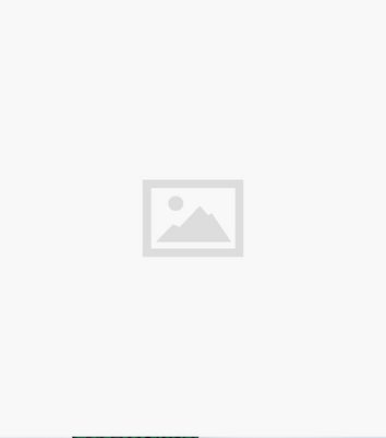 AX Paris Green Animal Print 2-in-1 Midi Wrap Dress