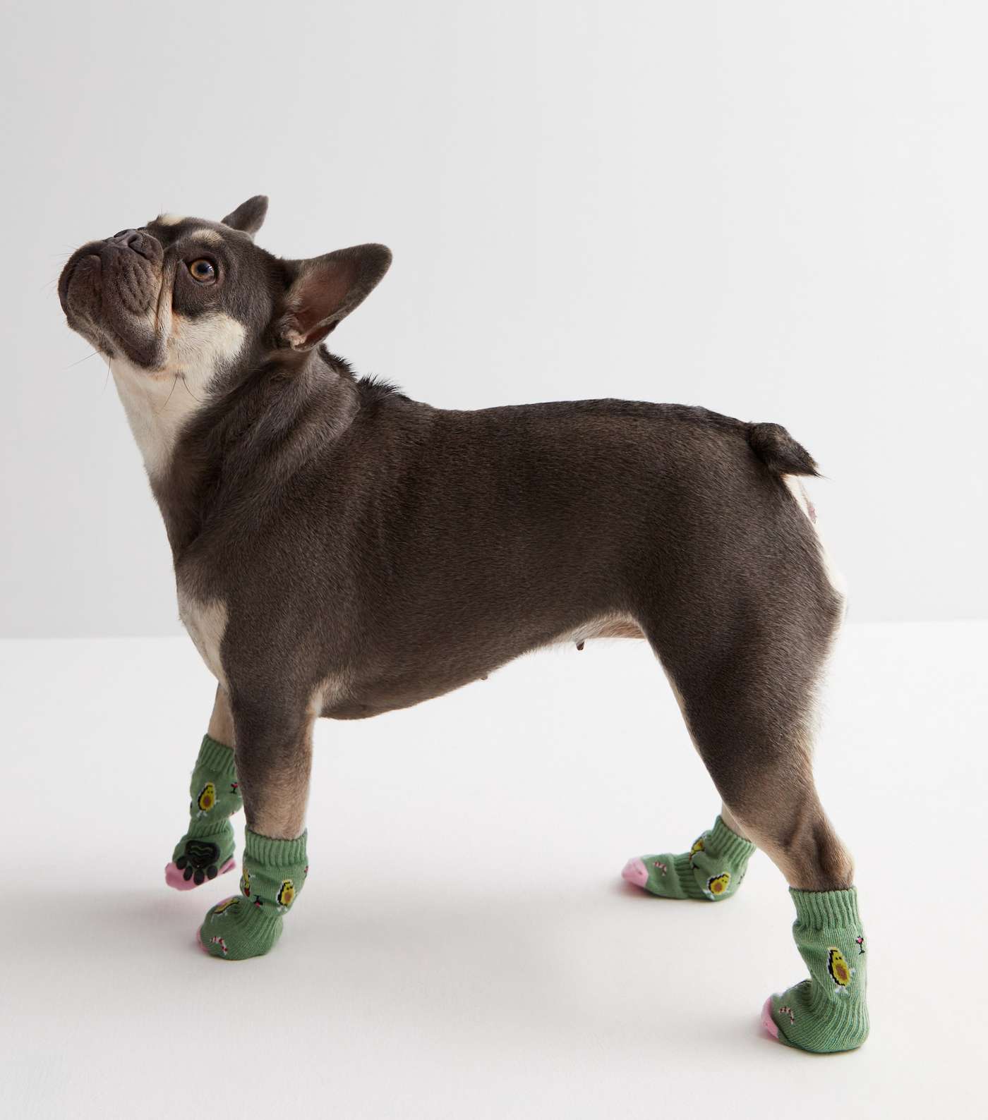Green Avocado Matching Dog & Owner Christmas Socks