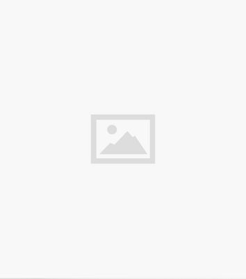 Blue Vanilla Light Brown Leopard Print High Neck Pleated Midi Dress