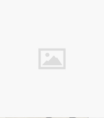 AX Paris Black Leopard Print High Neck Skater Dress