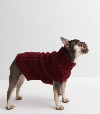 New look dog jumper sale