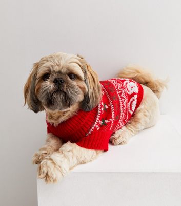 Red 2024 dog jumper