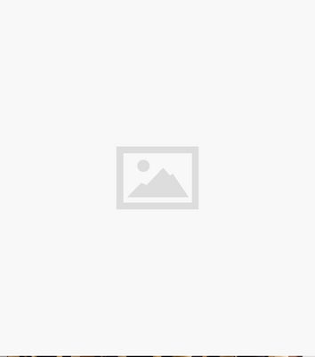 Cameo Rose Brown Leopard Print Tie Neck Blouse