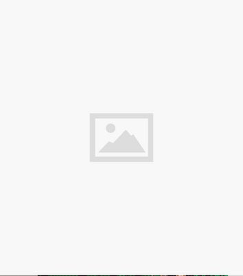 Cameo Rose Green Animal Print Plissé Shirt