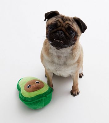 Green Avocado Dog Toy
