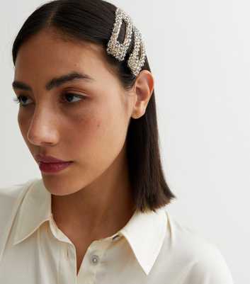 2 Pack Pale Grey Beaded Hair Clips