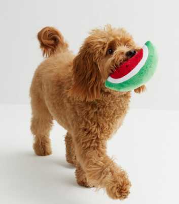 Red Watermelon Squeaky Dog Toy