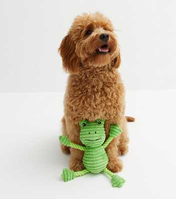Light Green Frog Rope Dog Toy