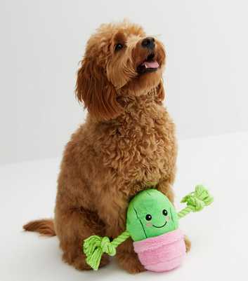 Green Cactus Rope Dog Toy