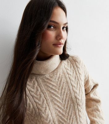 Cable knit 2025 roll neck