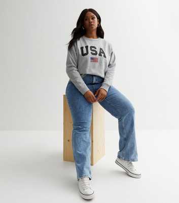 Curves Grey Flag USA Logo Sweatshirt