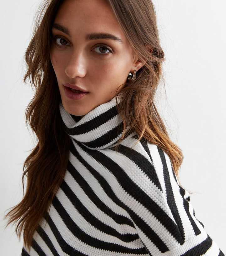 Black Stripe Ribbed Roll Neck Jumper | New Look