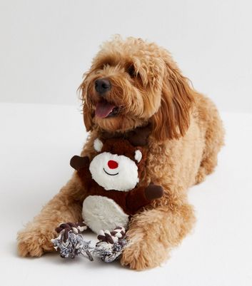 Rudolph 2024 dog toy