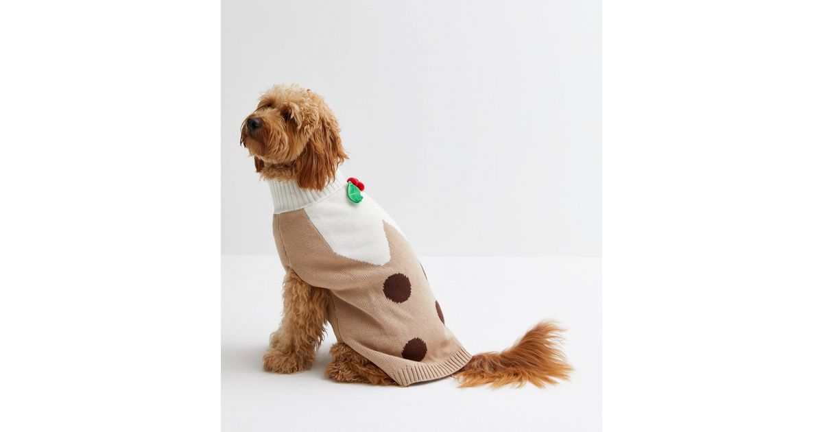 Brown Christmas Pudding Dog Jumper New Look