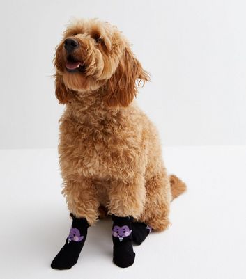 Halloween shop dog socks