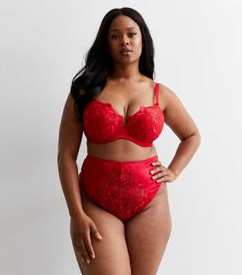 Lace Sexy Bra and Panty Sets Curvy 2 Piece Plus Size Lingerie Sexy Naughty  Set for Women Matching Sets Lingerie Sets, Red, 3X-Large : :  Clothing, Shoes & Accessories