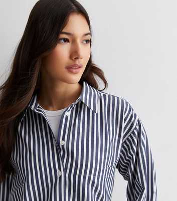 Blue Stripe Poplin Long Sleeve Shirt