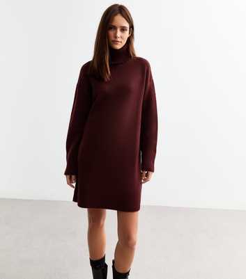 Burgundy Knit Roll Neck Mini Jumper Dress