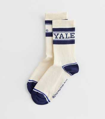 Cream Yale University Tube Socks