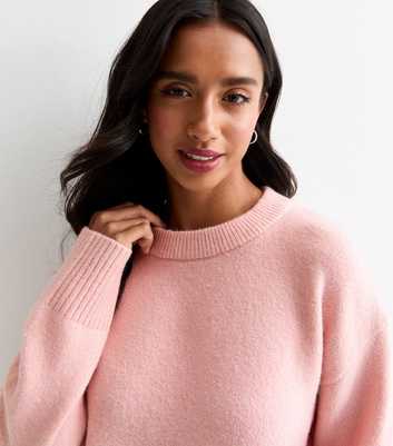 Petite Pink Soft Knit Crew Neck Jumper 