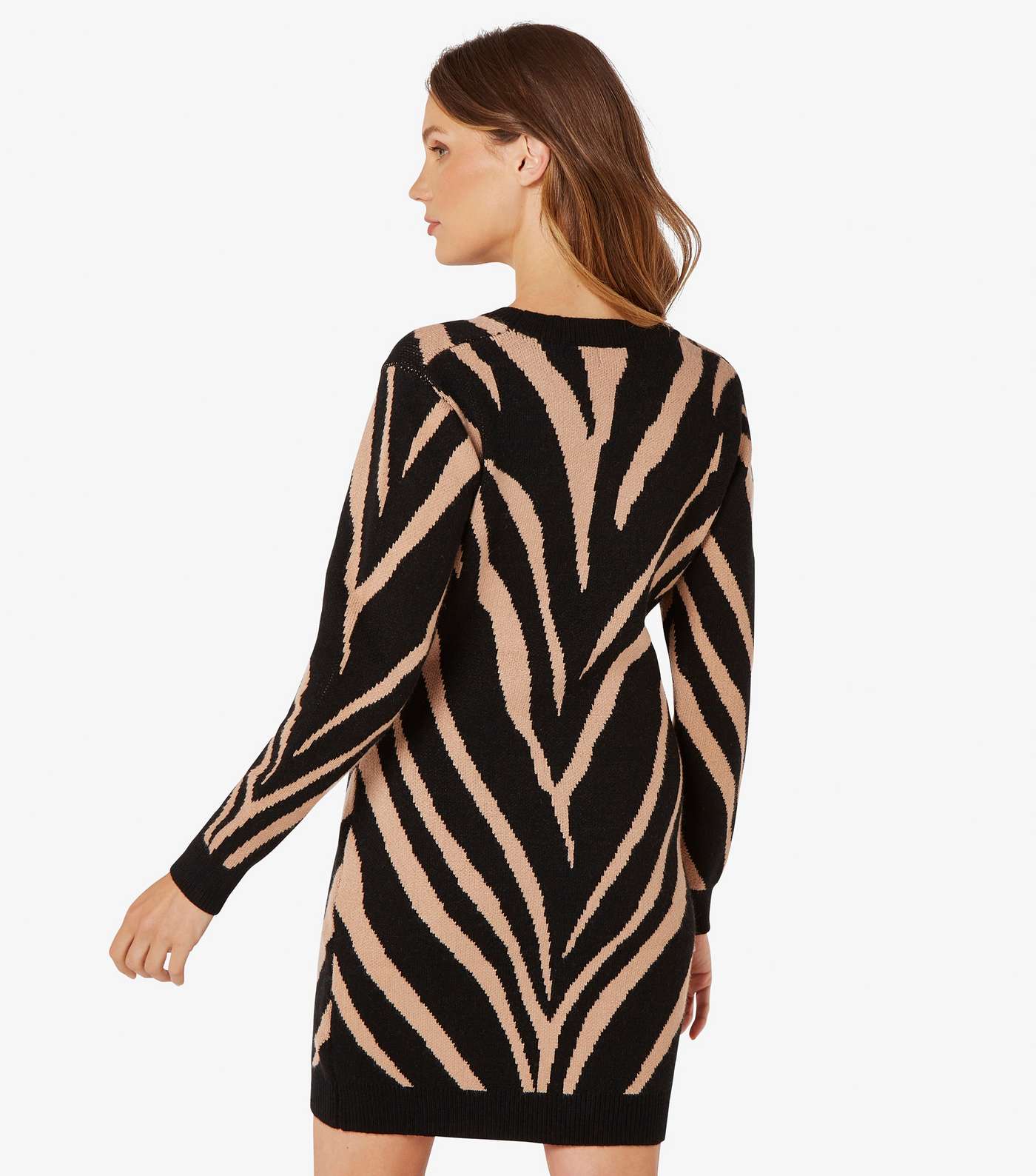 Apricot Zebra Knit Jumper Dress Image 3
