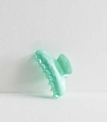 Light Green Resin Bulldog Claw Hair Clip