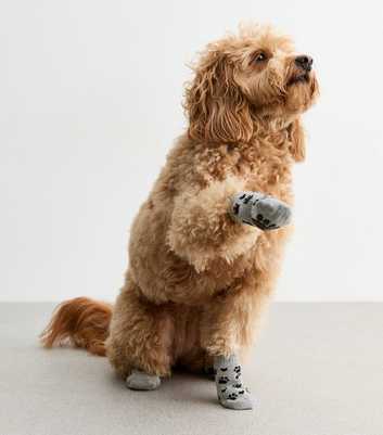 Grey Paw Dog Socks