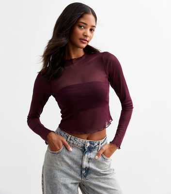 Burgundy Long Sleeve Mesh Top 