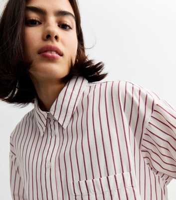 Burgundy Striped Cotton Poplin Shirt