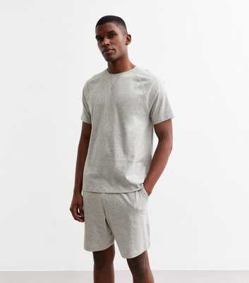 Grey Regular Jersey T-Shirt And Shorts Set