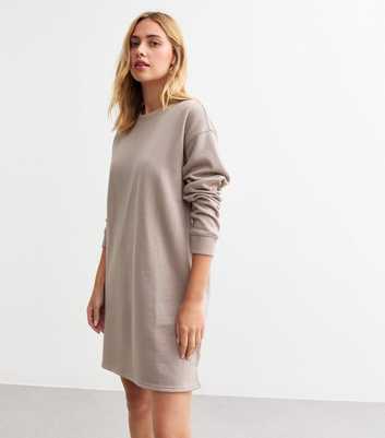 Mink Long Sleeve Crew Neck Mini Sweater Dress