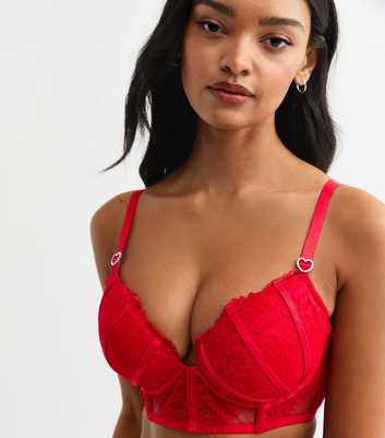 Red DD+ Caged Floral Lace Plunge Bra