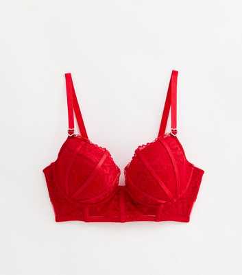 Red DD+ Caged Floral Lace Plunge Bra