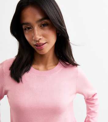 Petite Pink Crew Neck Jumper