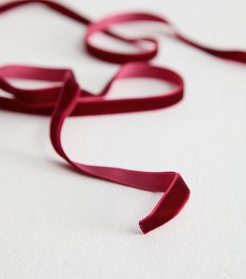 Burgundy Velvet Corsage Tie Choker New Look