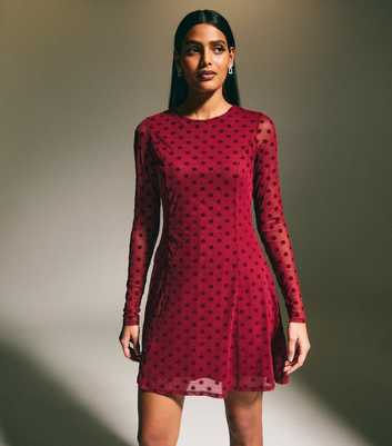 Burgundy Flocked Polka Dot Long Sleeve Mesh Dress