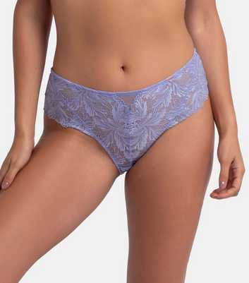 Dorina Blue Lace Hipster Briefs