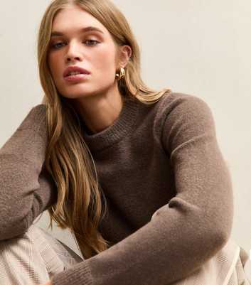 Mink Crew Neck Jumper