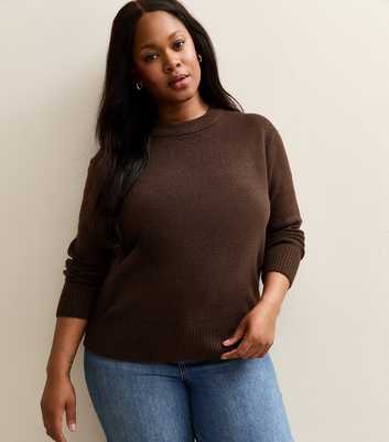 Curves Brown Crew Neck Jumper