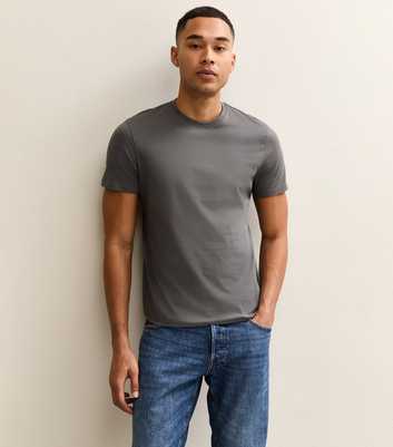 Mid Grey Regular Crew Neck Jersey T-Shirt