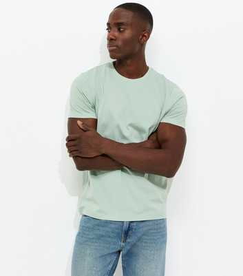 Light Green Regular Crew Neck Jersey T-Shirt