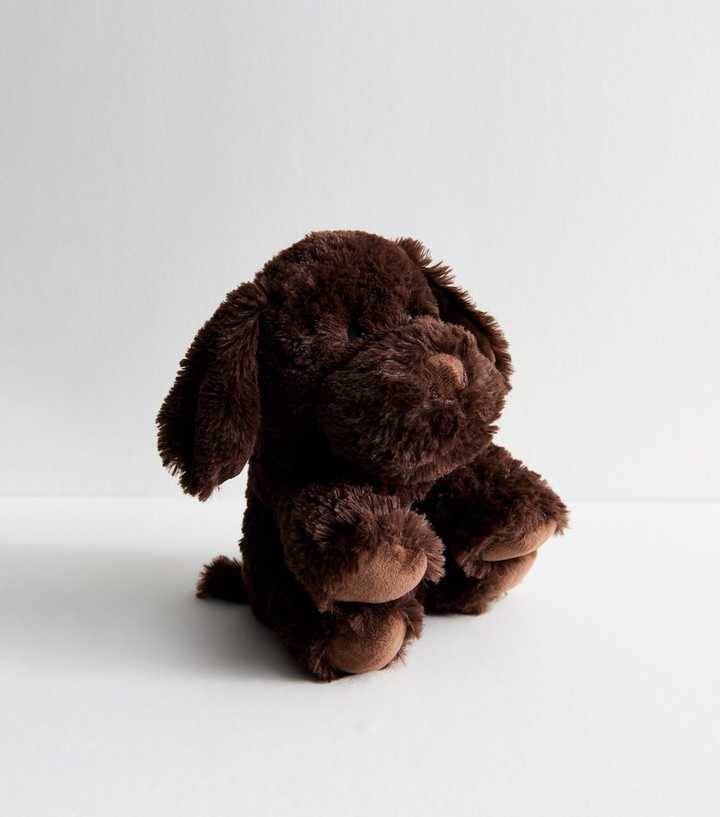 Dark Brown Chocolate Labrador Hottie