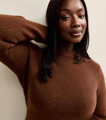 Curves Dark Brown Crew Neck Jumper
