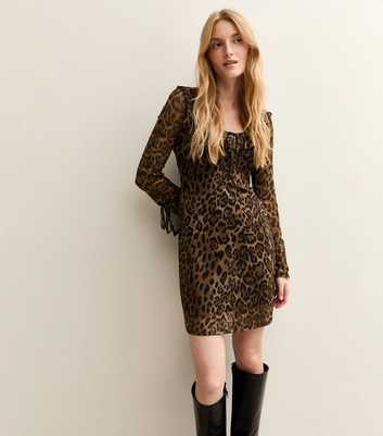 Brown Leopard Print Mesh Scoop Neck Tie Detail Mini Dress