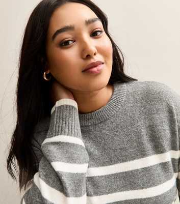 Curves Grey Striped Jumper