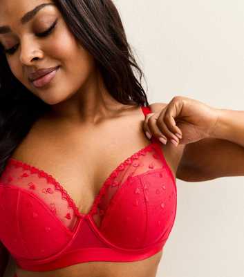 Curves Red Heart Embroidered Bra